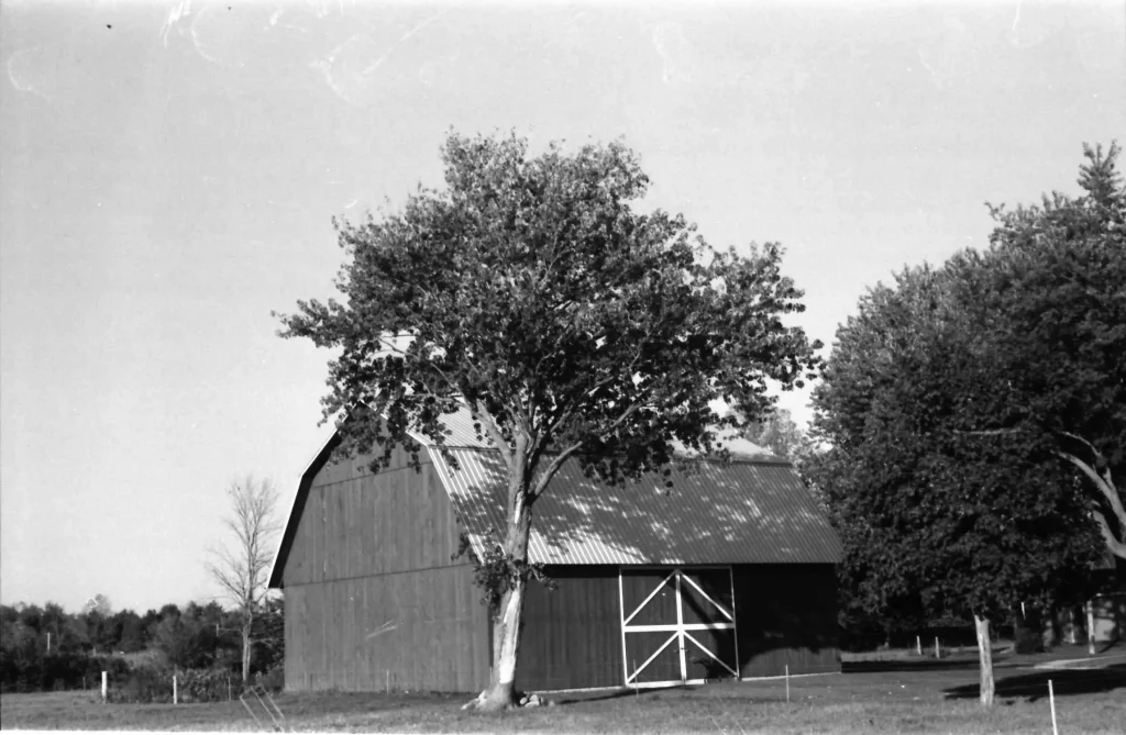 Barn