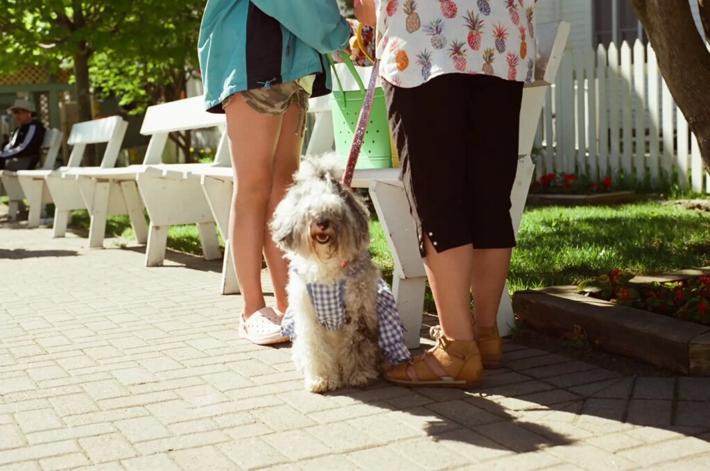 dog sitting between two people standing on sidewalk