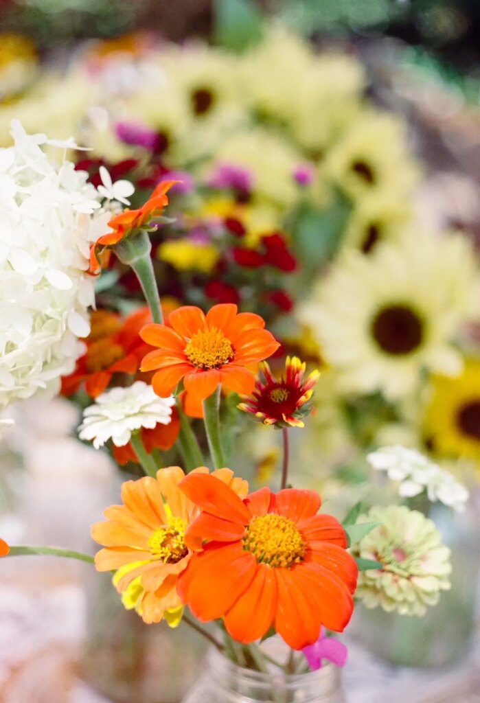 bouquet of flowers