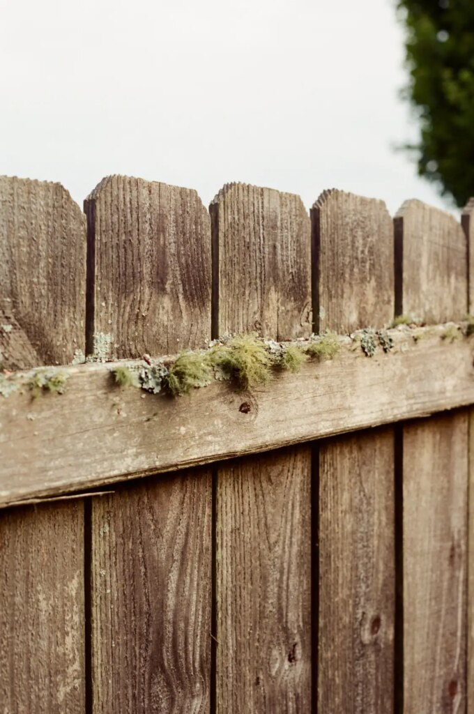 Image of wooden fence on Atlanta Film Co. 250D