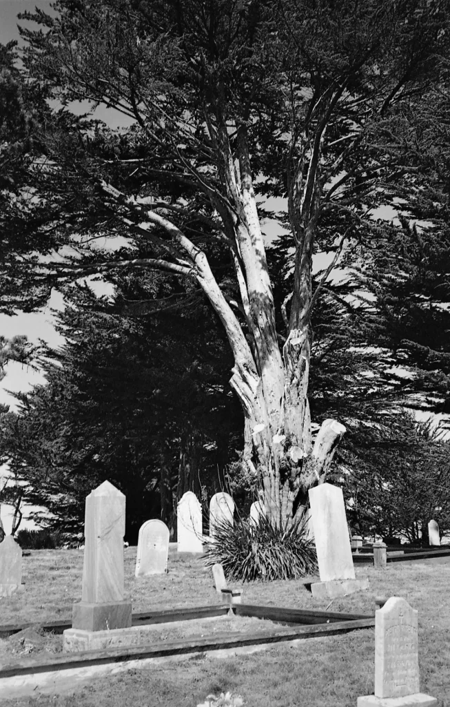 Cemetery View