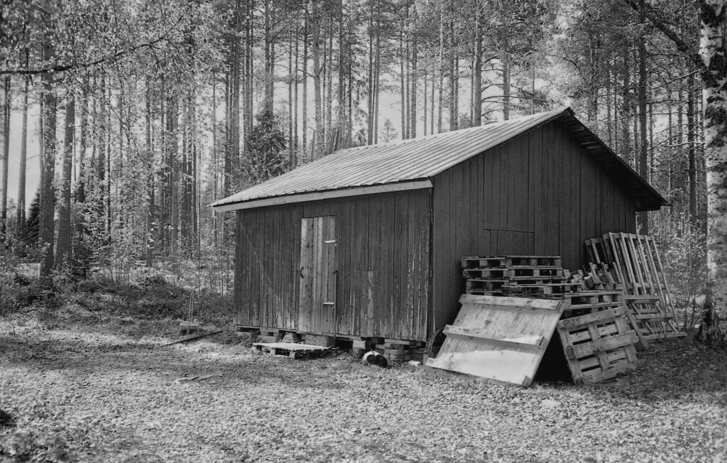 Shed in woods 