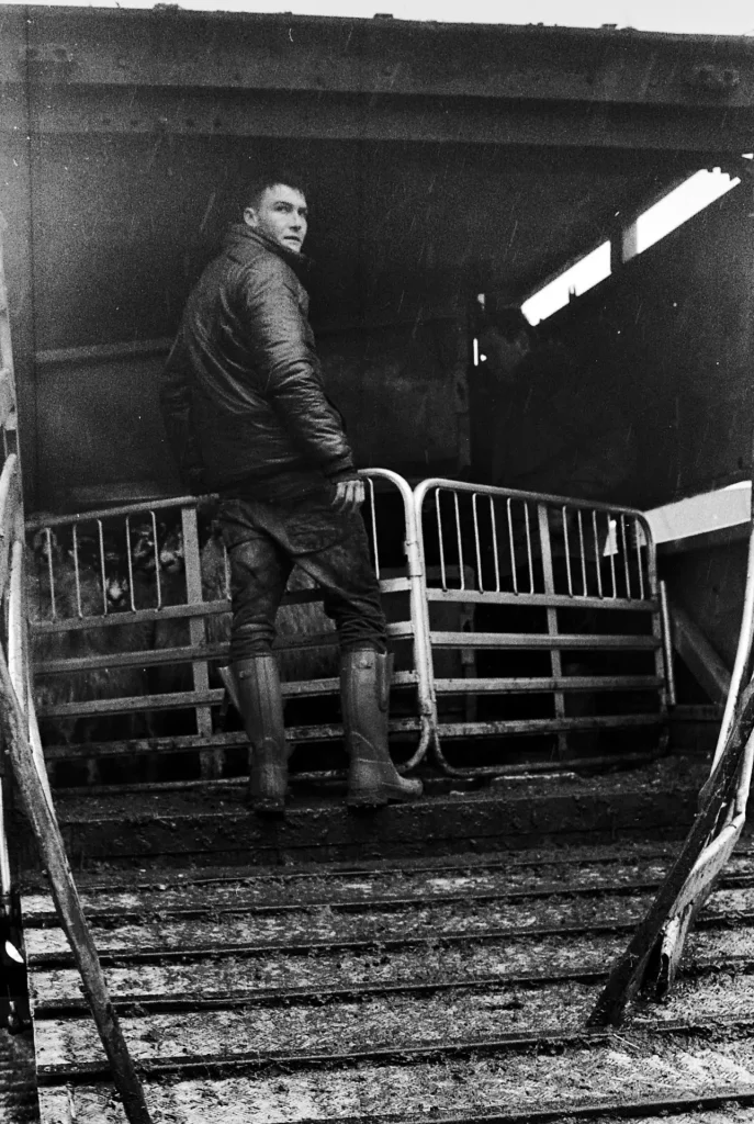 Arthur mid-assessment whilst releasing the sheep.