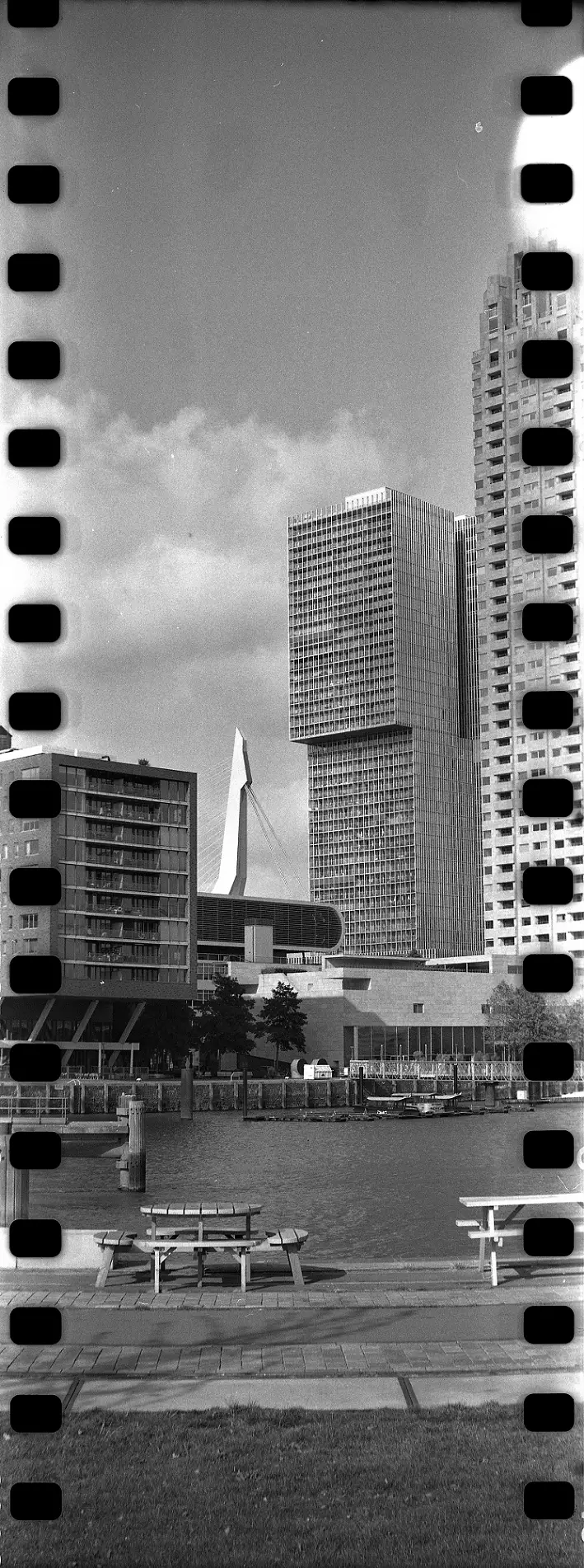 Vertical panorama of a city scape with tall buildings