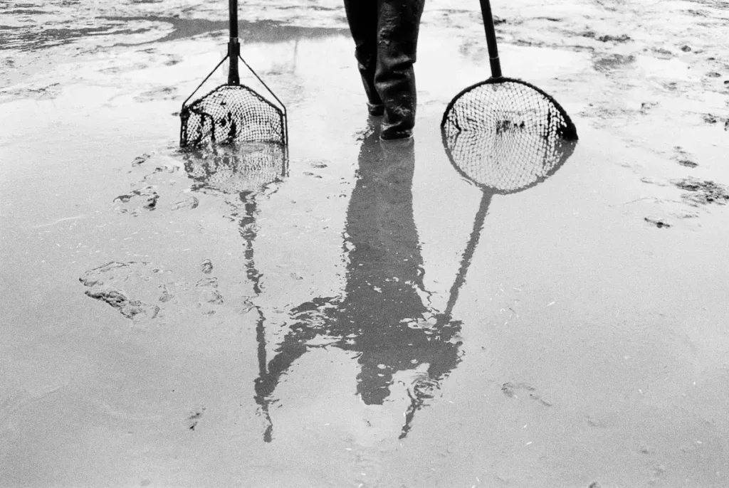 Reflection of a fisherman in the wet bottom of a drained pond.