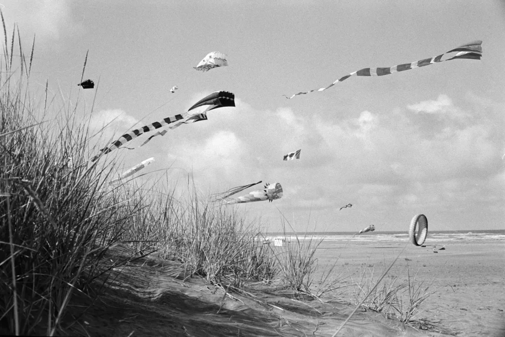 kites and beach