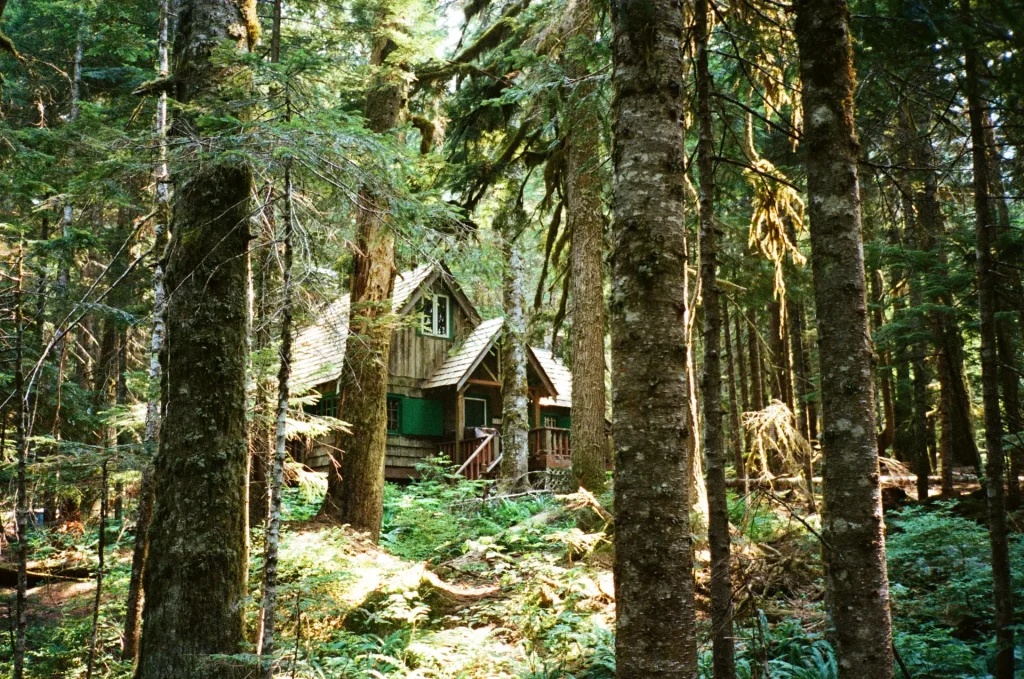 Cabin in the woods, Washington