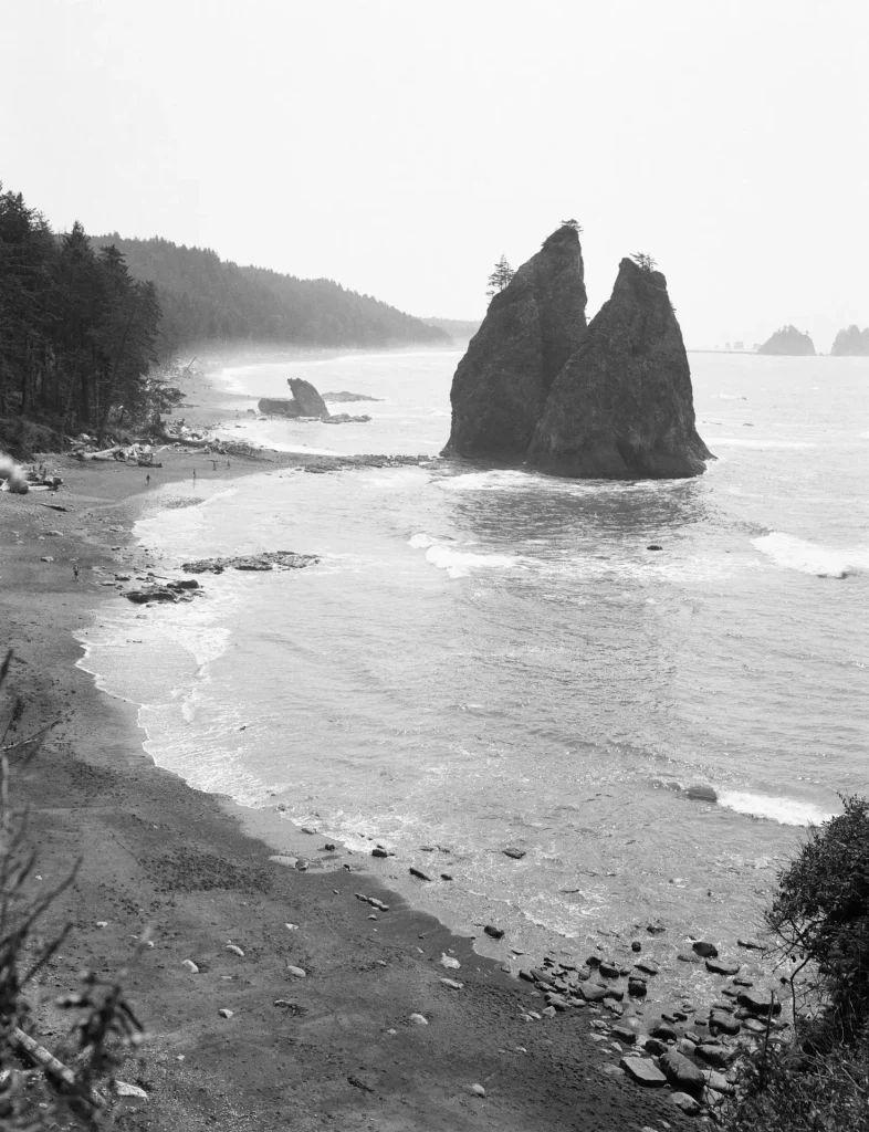 Sea Stacks