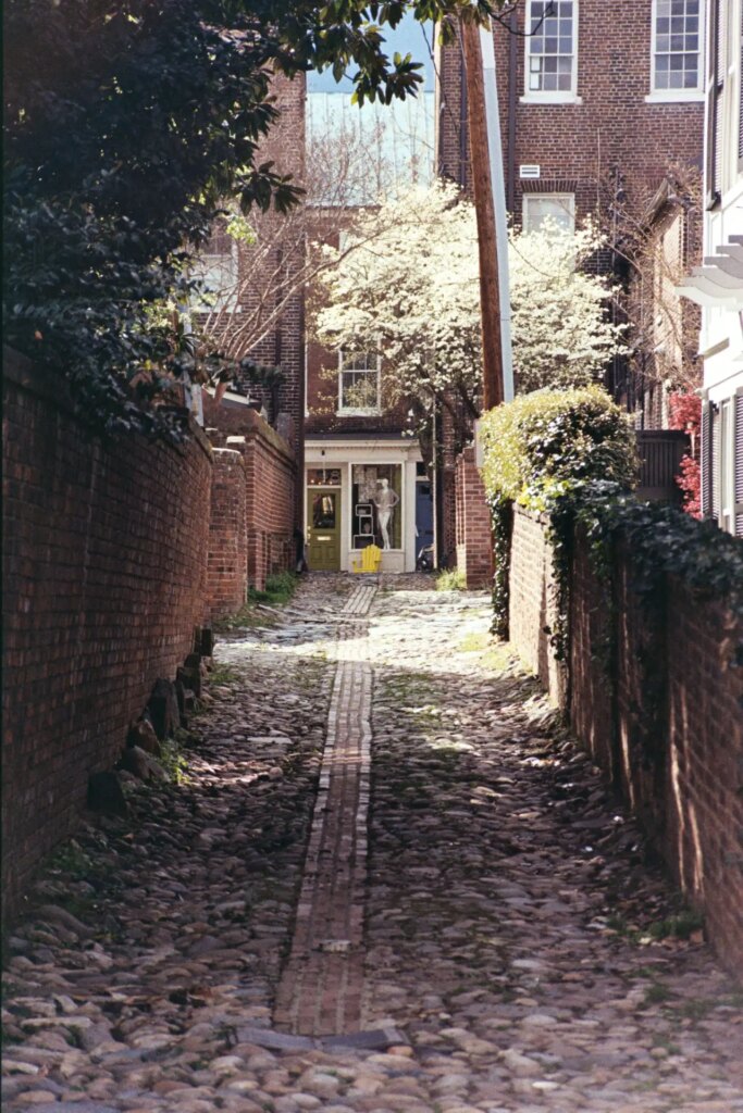 Alleyway. Mirai, Kodak 200