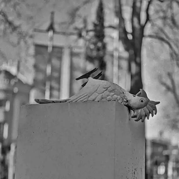 Memorial to a dead parrot 