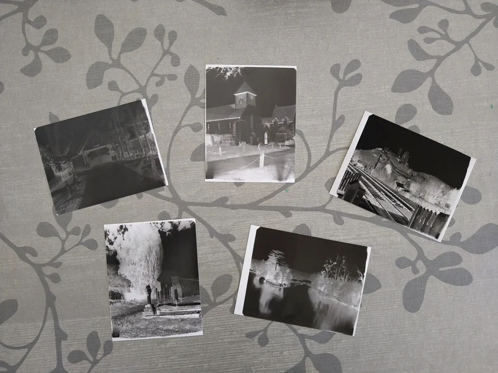 Several paper negatives