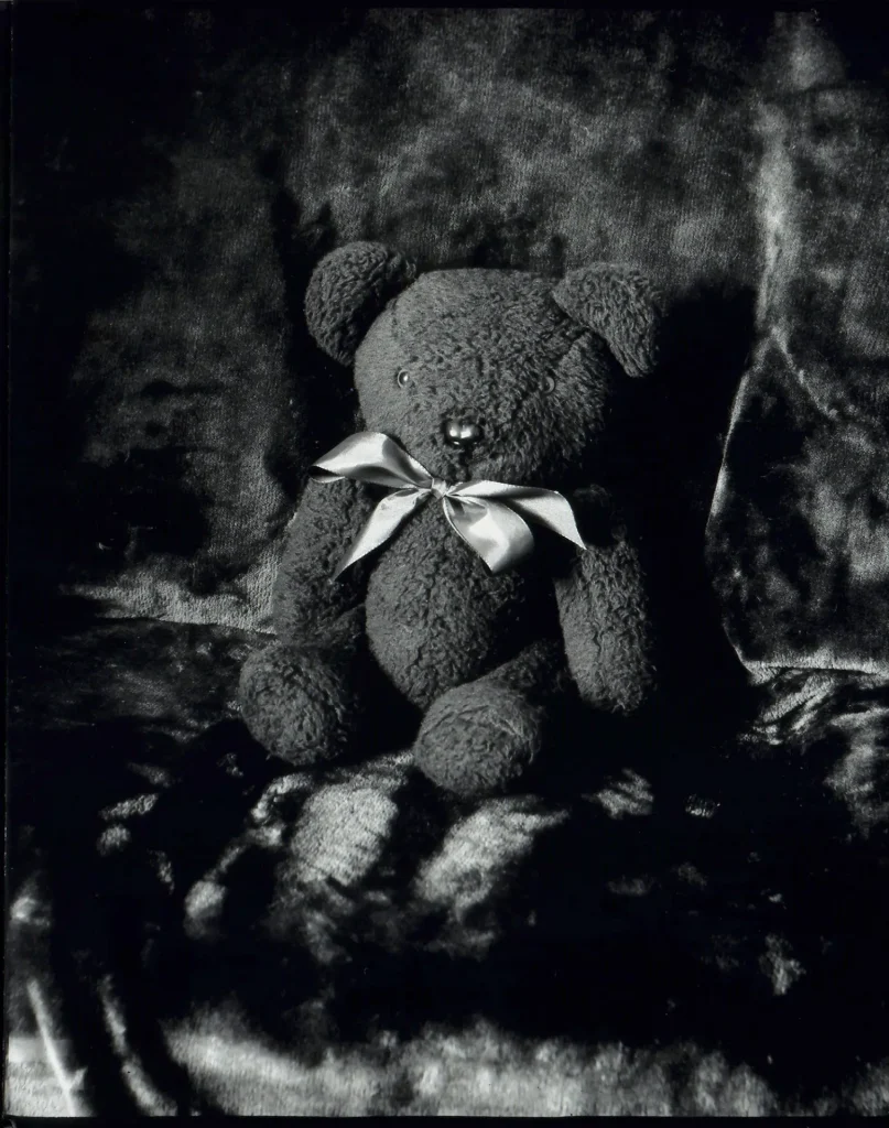 Photo of toy bear