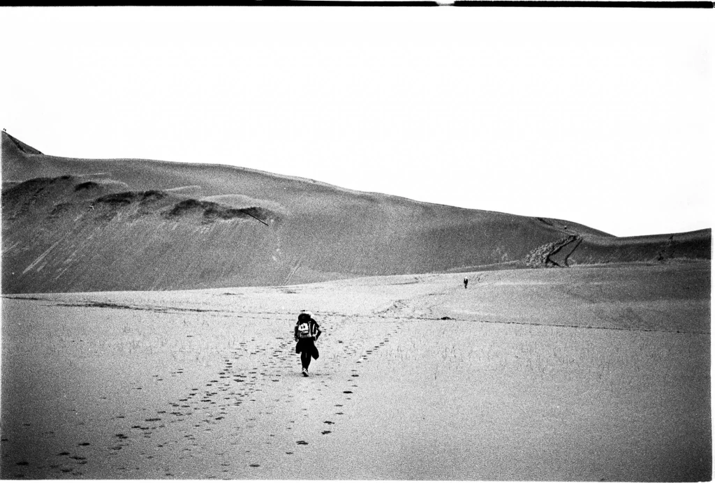 Person walking in the Gobi Desert