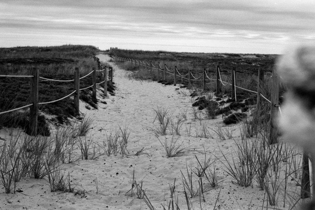 Sandy Path