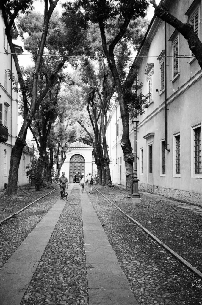 people walking 