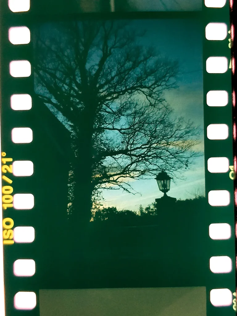 Roll 7 - Expired Boots film