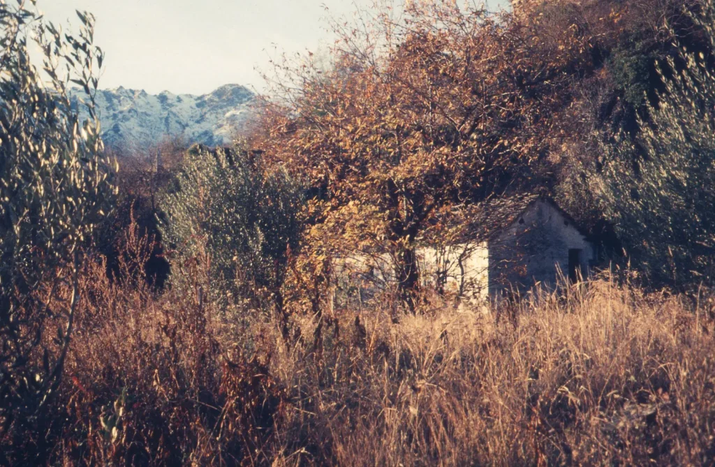 A derelict building