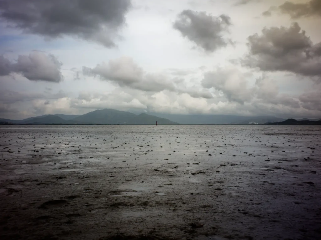 Landscape of Shenzhen Bay