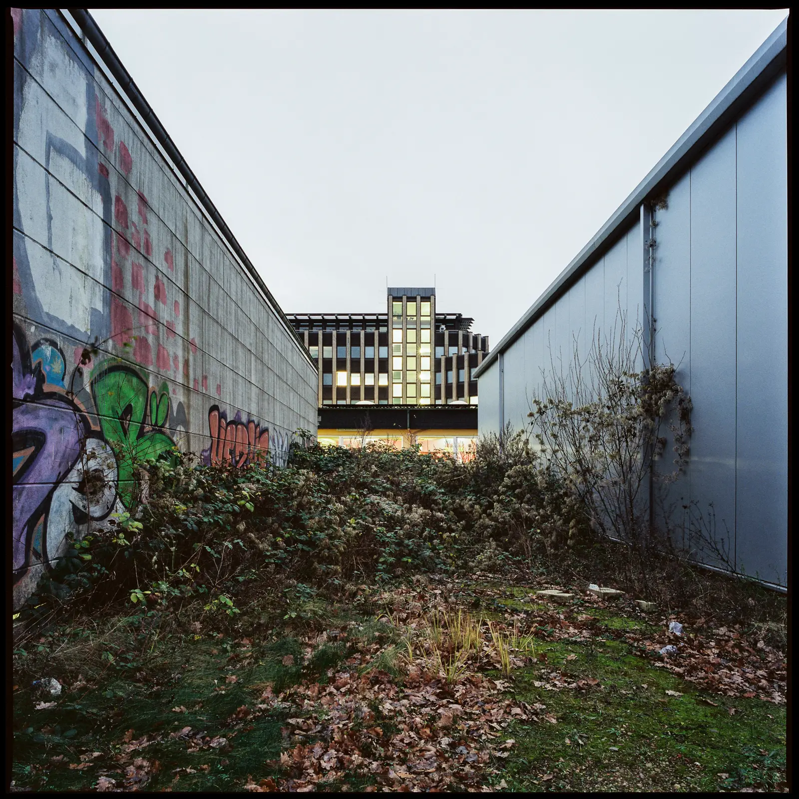 run-down place with a tunnel-like view to an office building in the distance