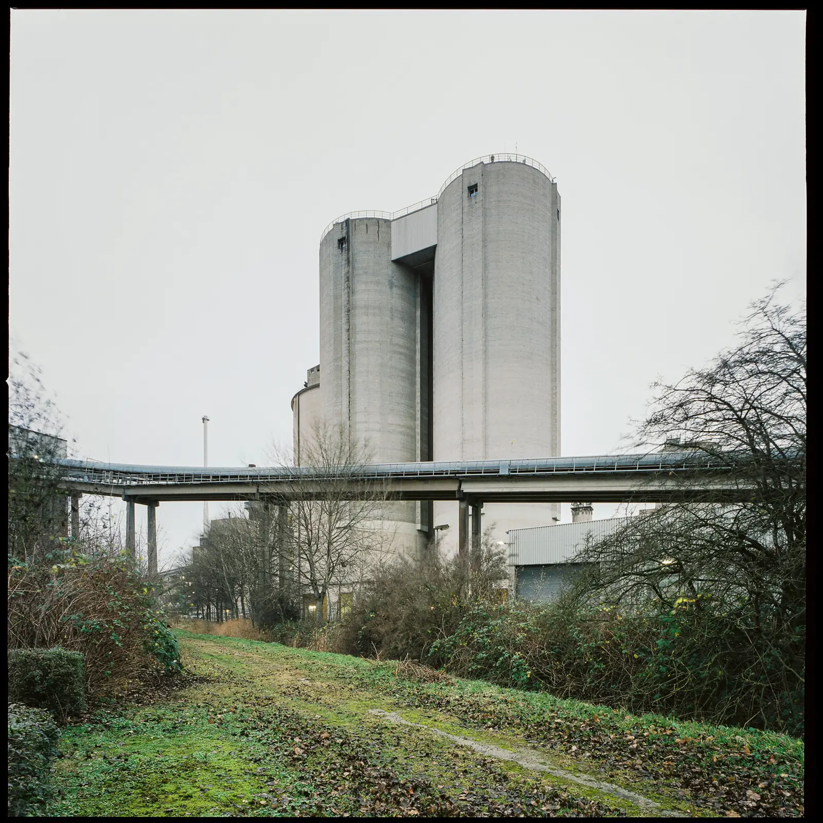 photograph of a dirt path lined with trees and bushes without leaves, with large concrete structures in the background