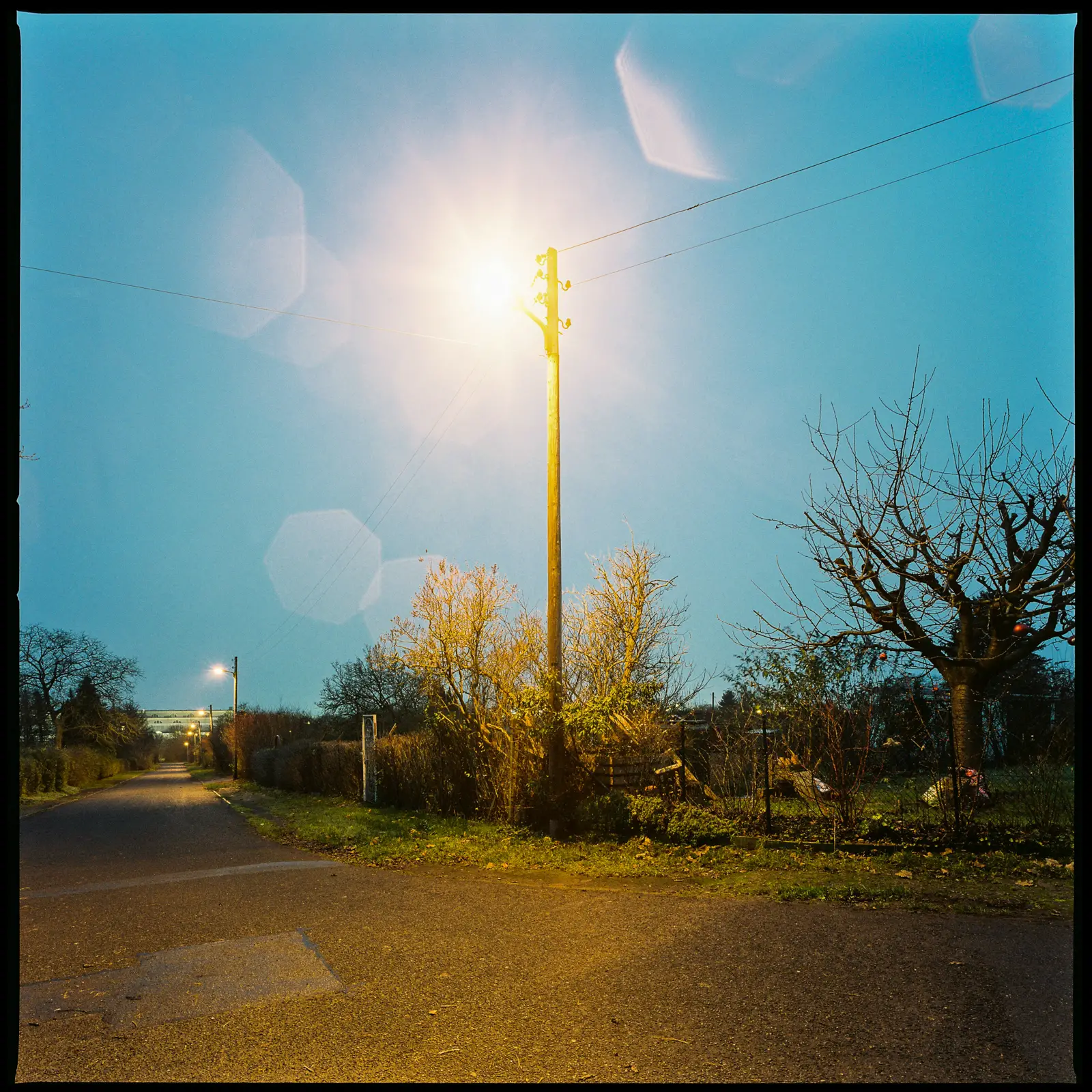 6x6 photograph of a single, orange glowing street lamp at the side of an empty road at dusk