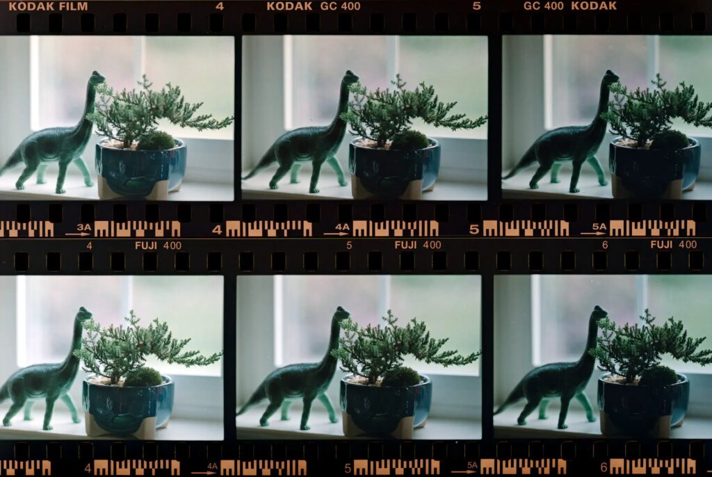 ultramax - fujifilm400 comparison, negatives