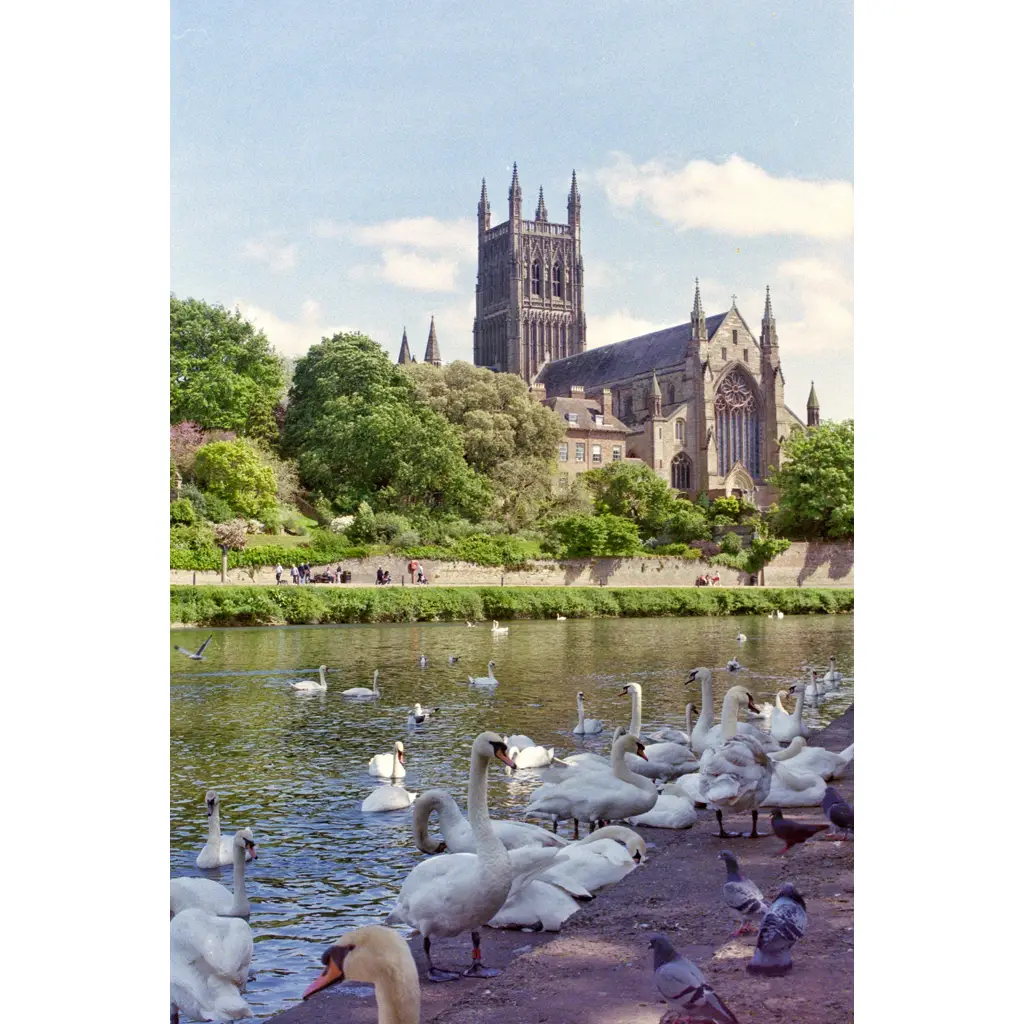 Worcester cathedral