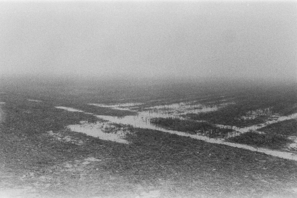 Wet field in the fog