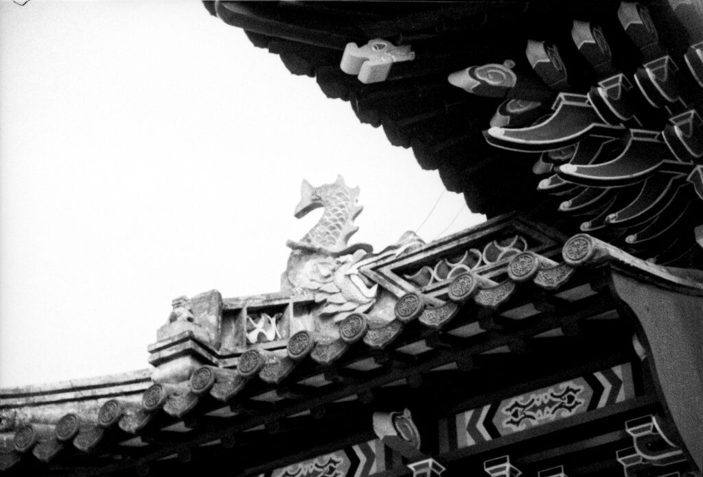 Rollei Superpan 200, Rodinal 1:25 - detail of entrance arch at Dunedin's Chinese Gardens..