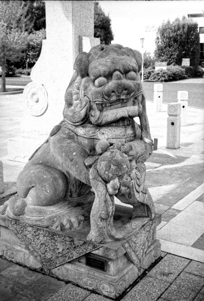 Rollei Superpan 200, Rodinal 1:25 - lion sculpture at entrance arch at Dunedin's Chinese Gardens..