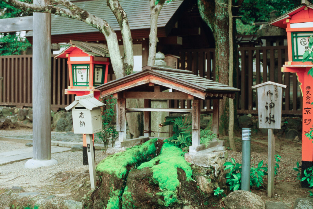 Bamboo water fountain, Kyoto 2023