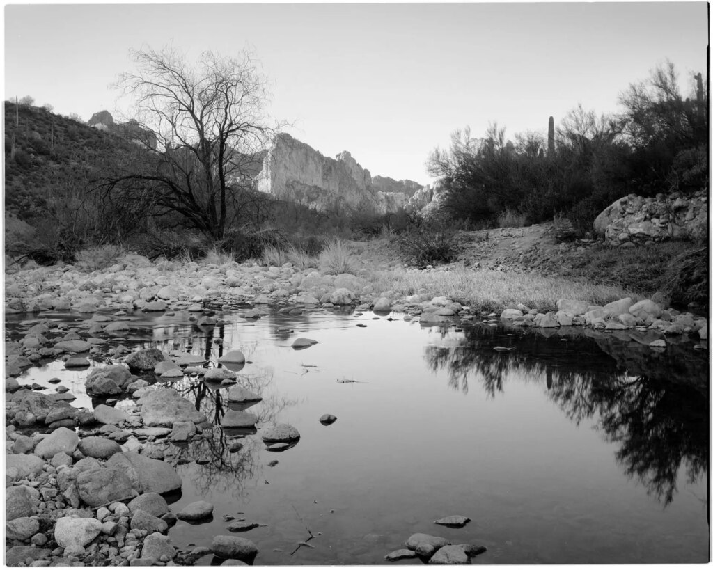 black and white photo of a rocky crag and tree reflected in water