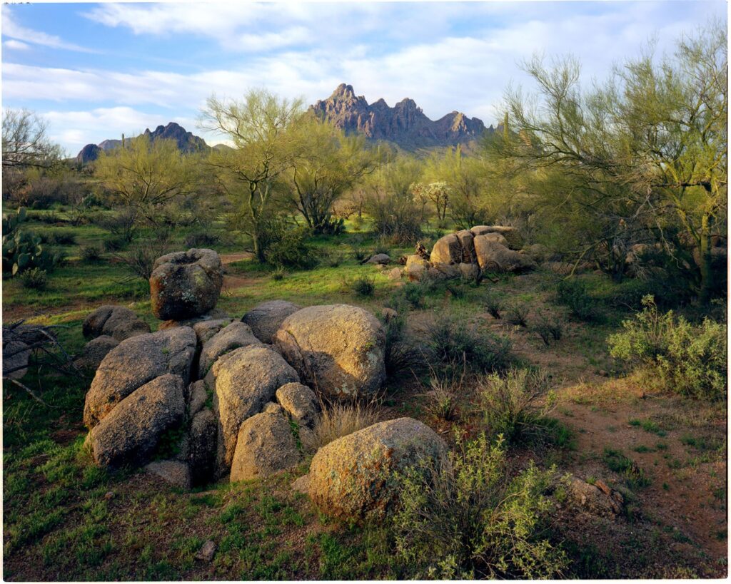 dawn over a desert scene with a rocky peak in the distance