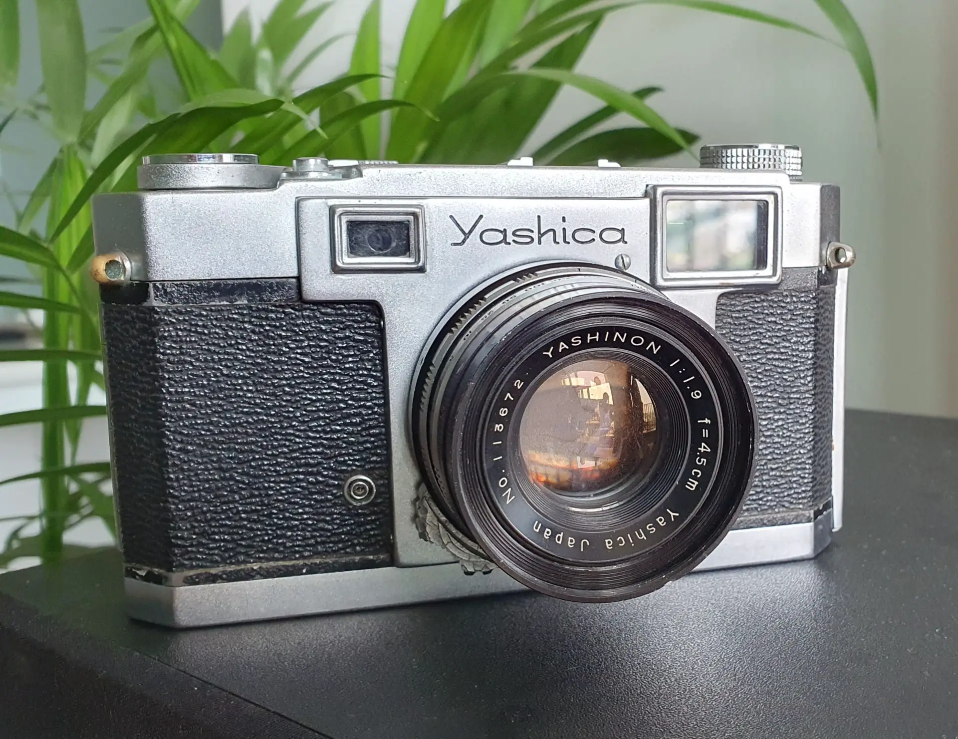 Photo of 5 Frames with a Yashica 35 Rangefinder