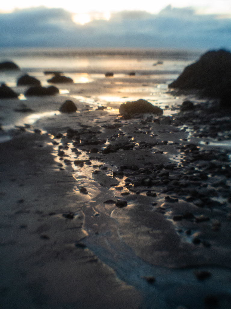 Brean Beach Jan 24