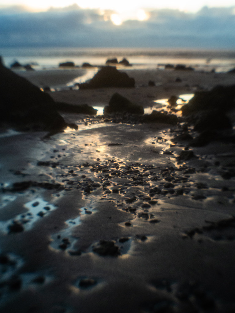 Brean Beach Jan 24