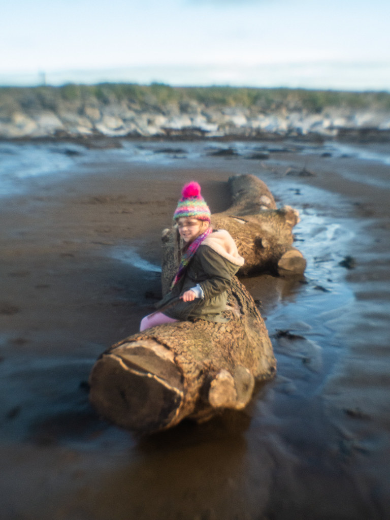 Brean Beach Jan 24