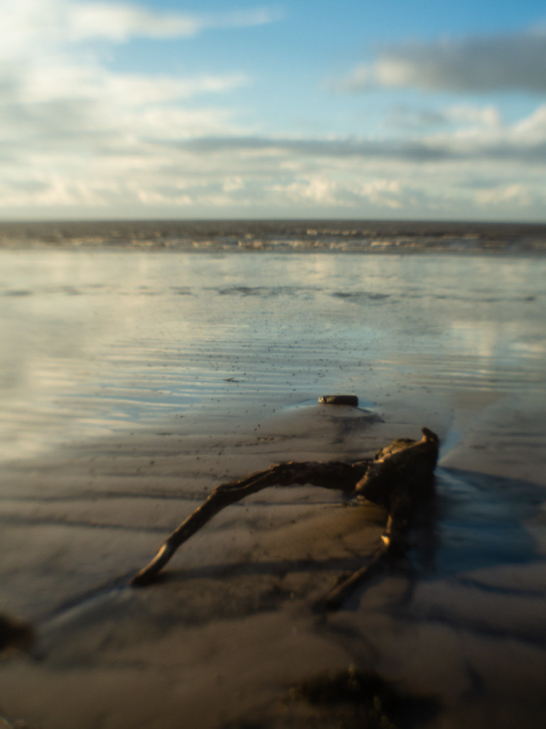 Brean Beach Jan 24