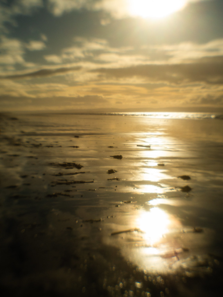 Brean Beach Jan 24