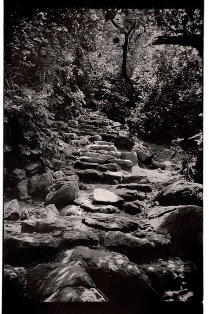 Black and white image of old stone stairs leading up a mountain path