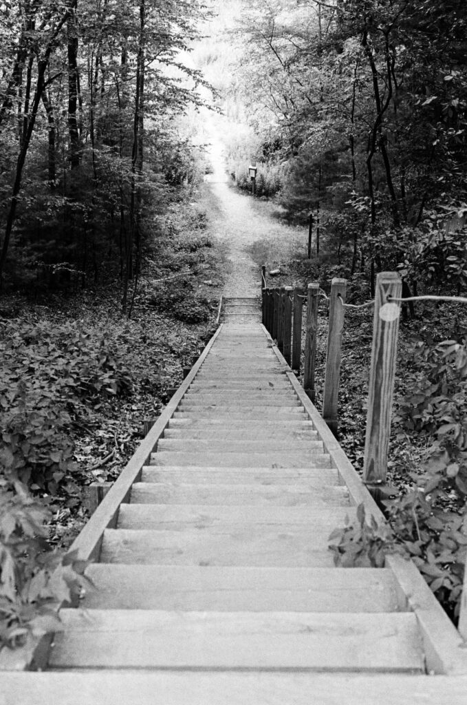 Stairs leading down into a path to the bog at Ward Reservation in Andover, MA