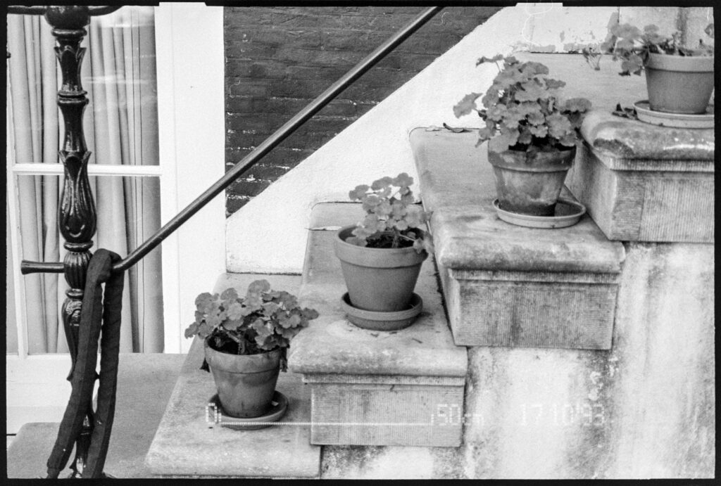 Potted plants in front of Amsterdam house