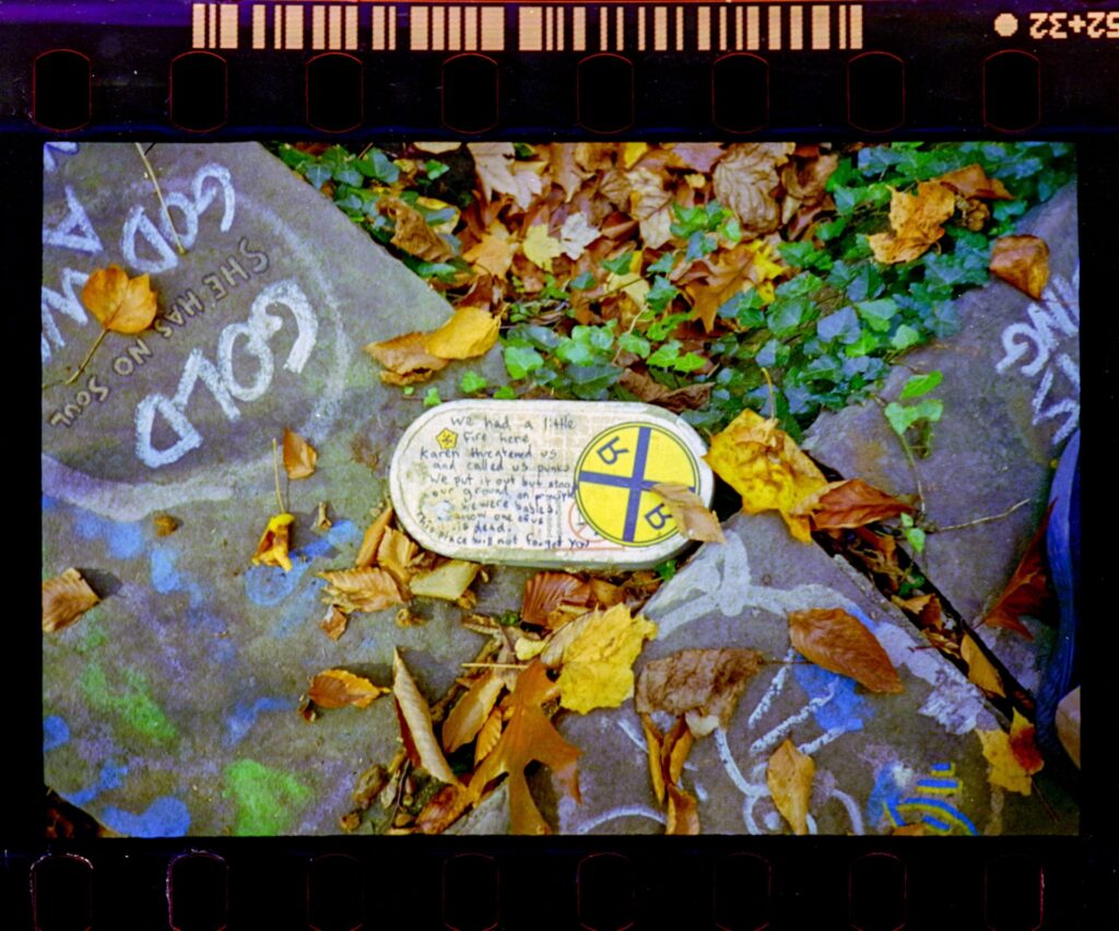 a photo of another piece of stone and ground, again covered in leaves. 