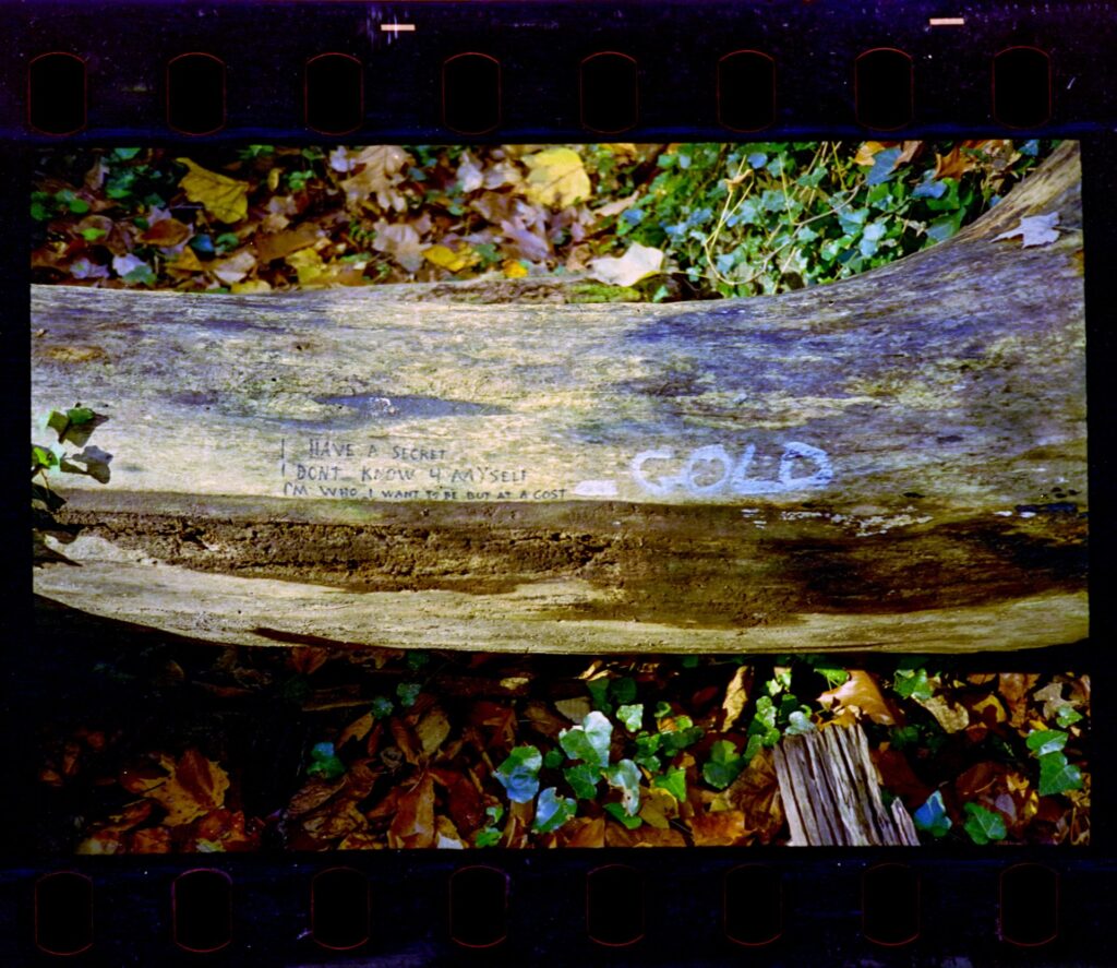A tree trunk, laying among fallen leaves, with a small inscription written in marker and paint. 