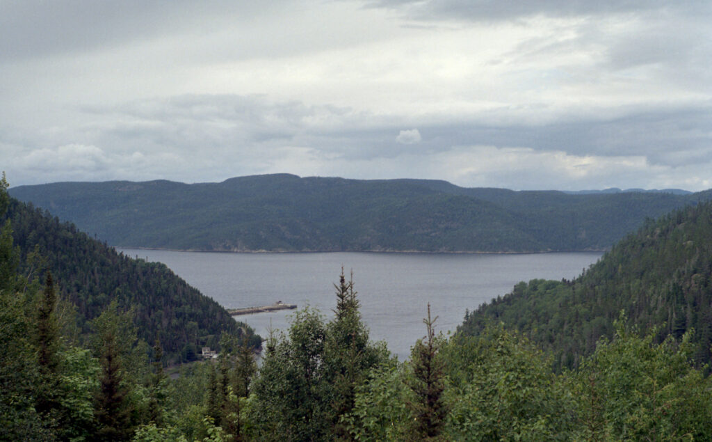 View of dock on fjord from hiking lookout in the trees