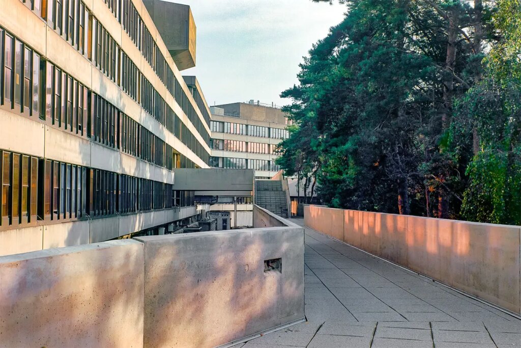 Concrete walkways at UEA.