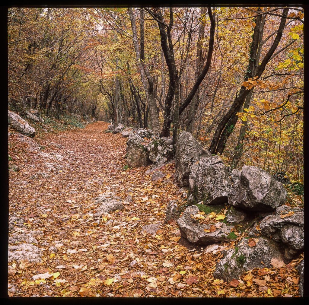 Paklenica National Park in Croatia - Fuji Provia 100