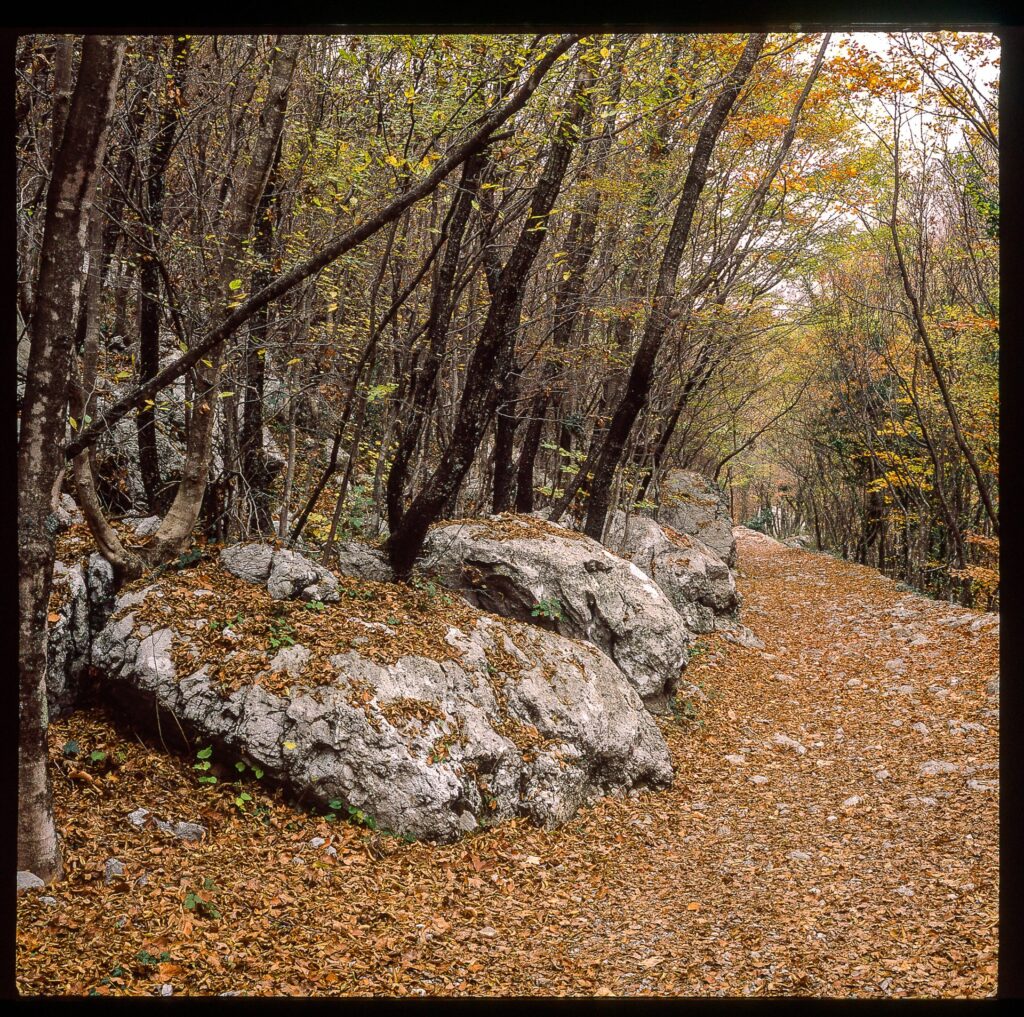 Paklenica National Park in Croatia - Fuji Provia 100