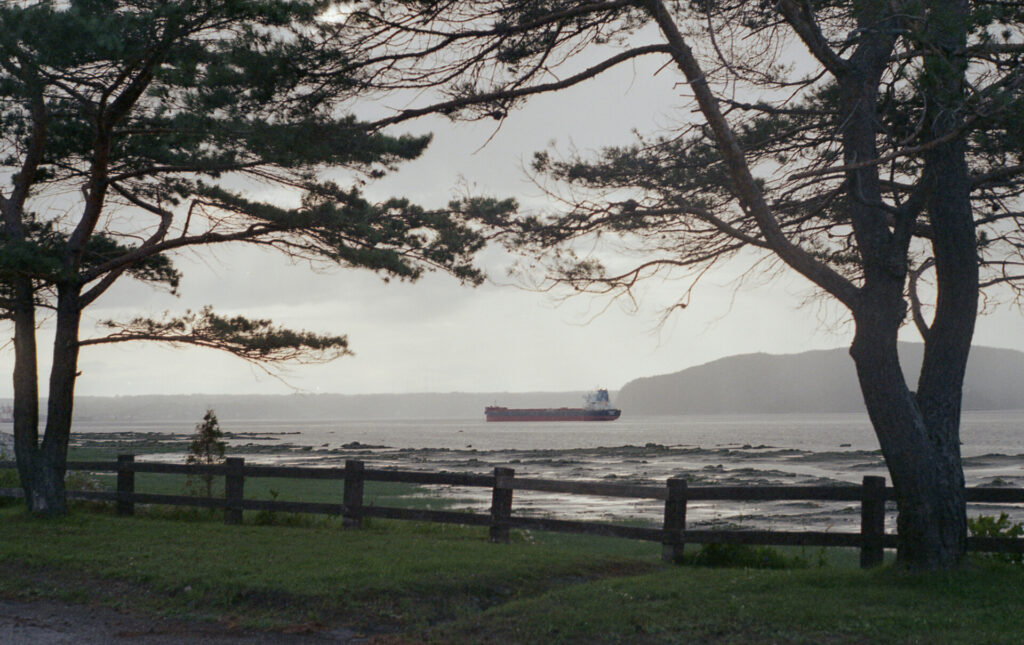 Ferryboat framed by fence in foreground and trees on edges