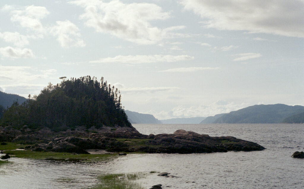 Rocky peninsula with small forest on the fjord